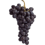 fresh moscato grape black freshleaf dubai uae