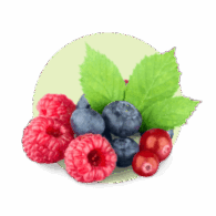 freshleaf berries category icon
