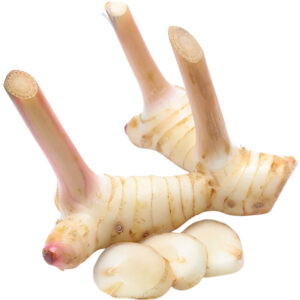 galangal thailand freshleaf dubai uae