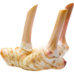 galangal thailand freshleaf dubai uae