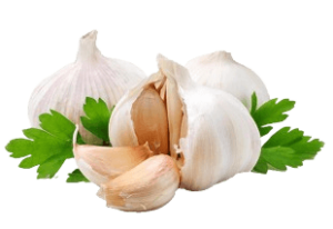 garlic india dubai freshleaf uae