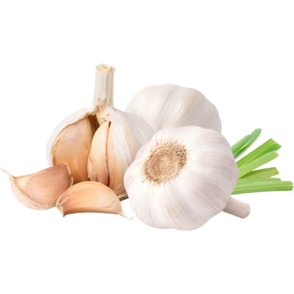 garlic india freshleaf dubai uae