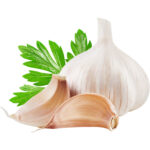 garlic india freshleaf dubai uae