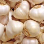 garlic india freshleaf dubai uae