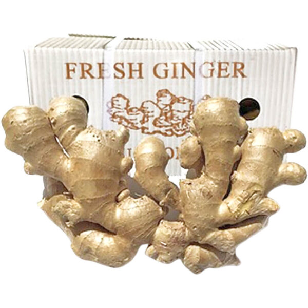 ginger box china freshleaf dubai uae