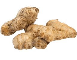 ginger india freshleaf uae