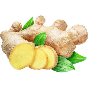 ginger sanitized freshleaf dubai uae