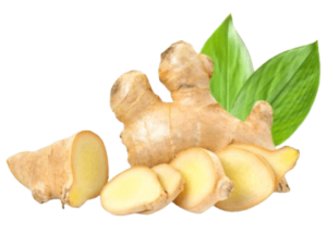 ginger sanitized freshleaf uae