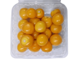 golden berries freshleaf uae