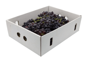 grapes black box dubai freshleaf uae