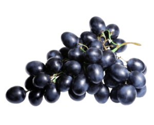 grapes black dubai freshleaf uae