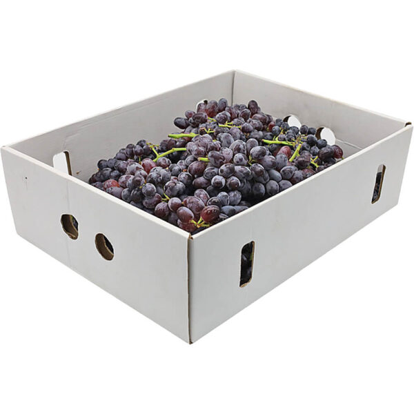 grapes box black egypt freshleaf dubai uae