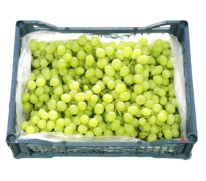 grapes green seedless box dubai freshleaf uae