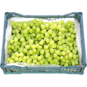 grapes green seedless box freshleaf dubai uae