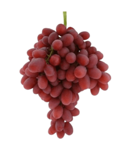 grapes red seedless asutralia dubai freshleaf uae