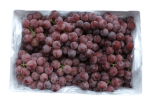 grapes red seedless box dubai freshleaf uae