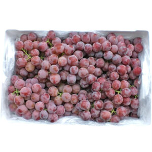 grapes red seedless box egypt freshleaf dubai uae