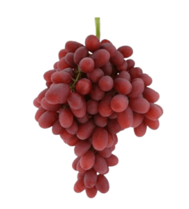 grapes red seedless dubai freshleaf uae