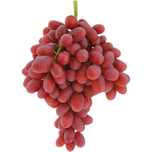 grapes red seedless egypt freshleaf dubai uae