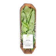 green basil leaves uae freshleaf dubai uae