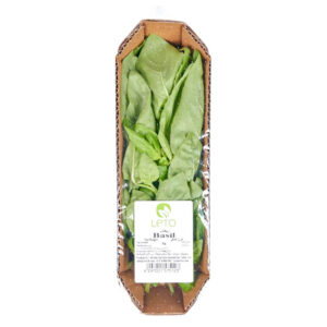 green basil leaves uae freshleaf dubai uae