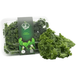 kale leaves holland freshleaf uae