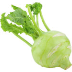 kohlrabi netherlands freshleaf dubai uae