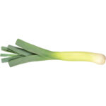 leeks holland freshleaf dubai uae