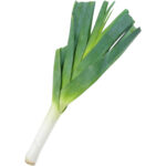 leeks holland freshleaf dubai uae