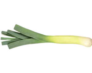 leeks holland freshleaf uae