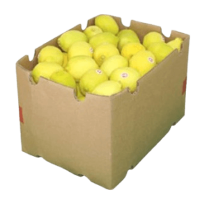 lemon box dubai freshleaf uae