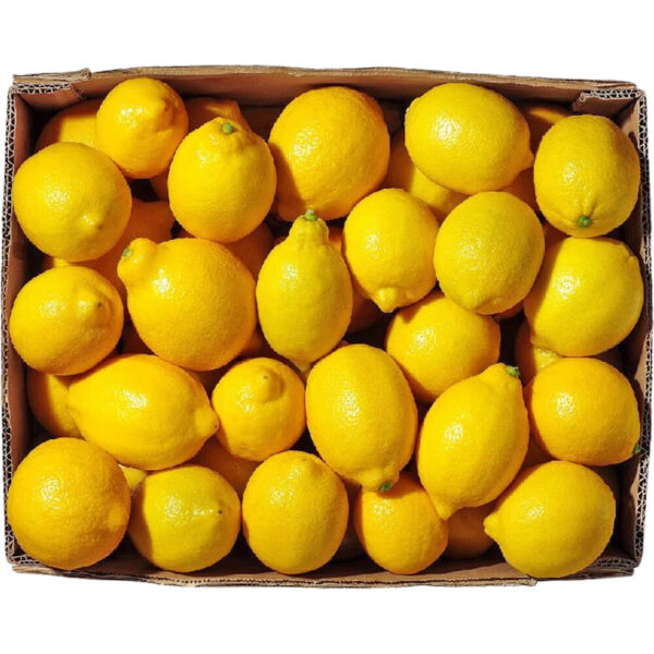 lemon box south africa freshleaf dubai uae