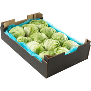 lettuce iceberg box iran freshleaf dubai uae