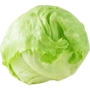 lettuce iceberg spain freshleaf dubai uae