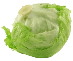 lettuce iceberg spain freshleaf uae