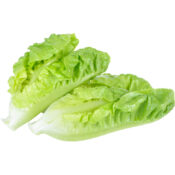 lettuce romaine sanitized gcc freshleaf dubai uae