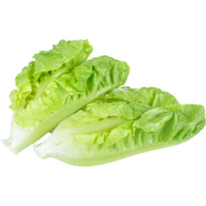 lettuce romaine sanitized gcc freshleaf dubai uae