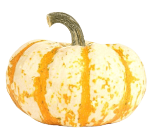 lil tiger pumpkin halloween freshleaf uae