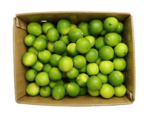 lime green box vietnam dubai freshleaf uae