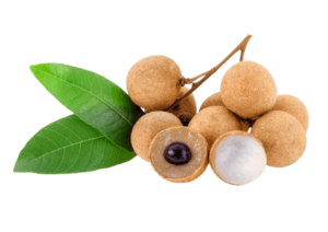 longan with stem freshleaf uae