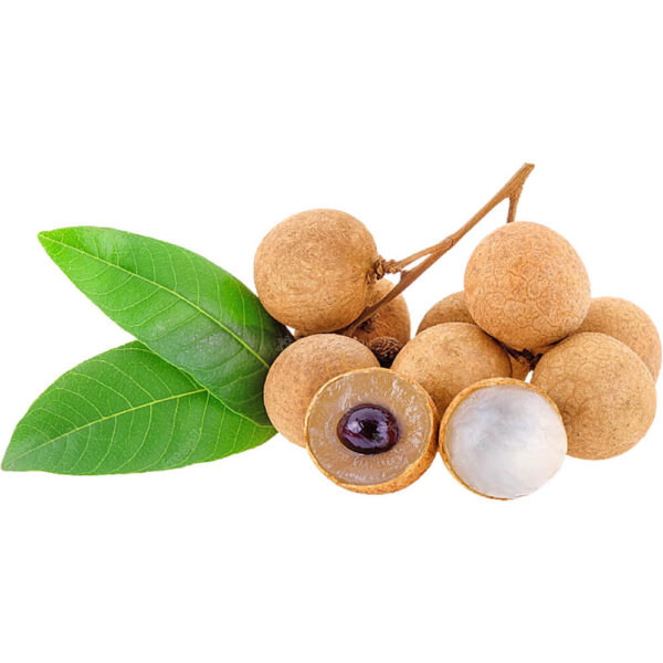 longan with stem thailand freshleaf dubai uae