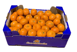 mandarin box south africa freshlea uae