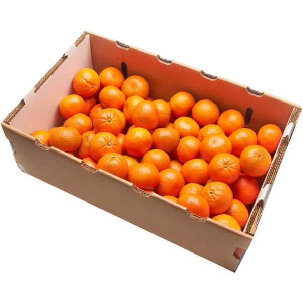 mandarin box southafrica freshleaf dubai uae