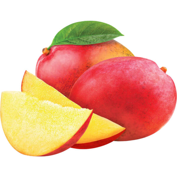 mango naomi egypt freshleaf dubai uae