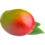 mango naomi egypt freshleaf dubai uae