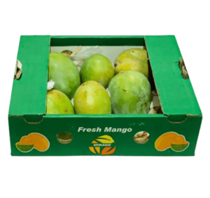 mango tommy box freshleaf uae