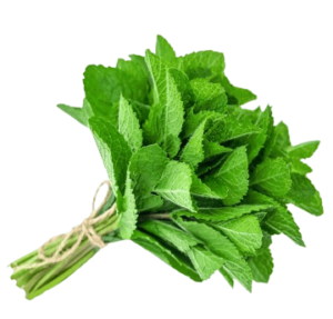 mint leaves loose freshleaf uae