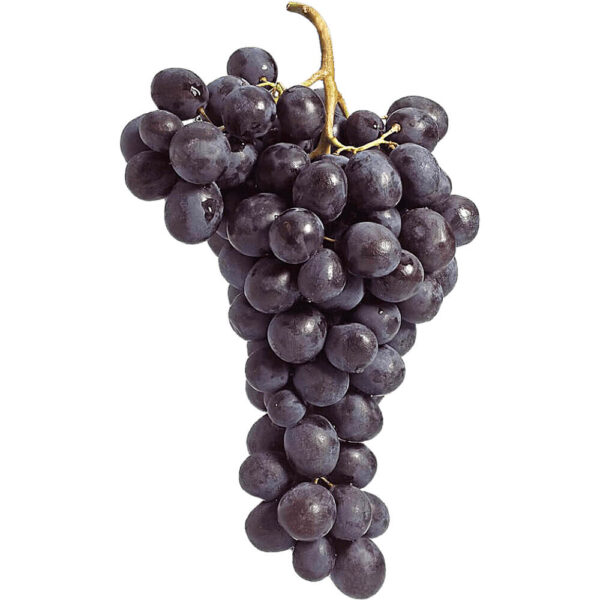 moscato grape black china freshleaf dubai uae