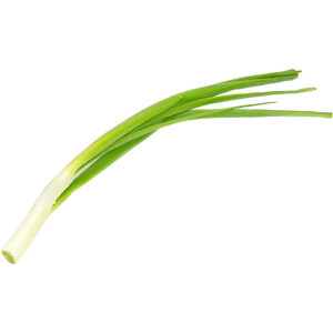 onion spring whole sanitized freshleaf dubai uae