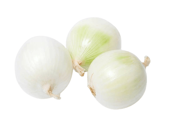 onion white dubai freshleaf uae